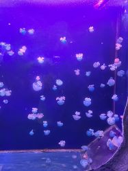 -Zoolung Zoolung动物主题公园(海信广场店)