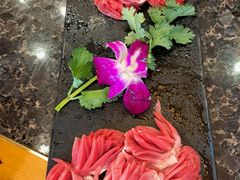 鲜郡肝-老码头火锅(骡马市店)