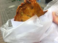 -半月镰胡姐脆皮萝卜饺子