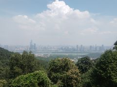 -岳麓山风景名胜区