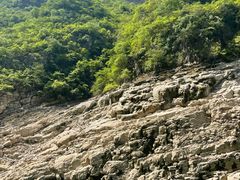 -白帝城·瞿塘峡景区