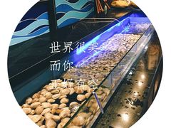 -圣琼美食百汇自助餐厅(福安购物广场店)