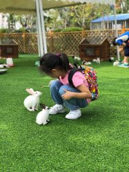 -萌宠亲子动物乐园(槐房万达店)