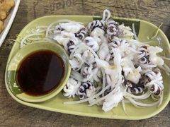 芥末白灼八爪鱼-贞姨美食·老字号海鲜大排档