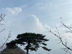 -秦岭终南山世界地质公园翠华山景区