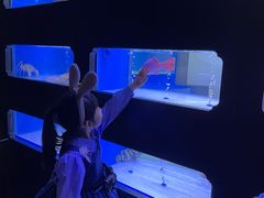 -澜棠海鲜(余姚阳明古镇店)