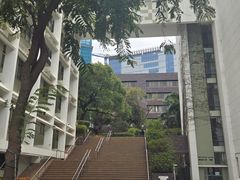 -香港大学