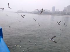 -星海蹦极娱乐