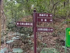-东莞市大岭山森林公园