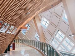 -重庆国际马戏城