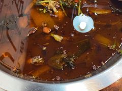 -耗儿鱼蛙蛙叫·老成都火锅(蛇口海昌街店)