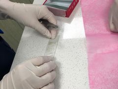 -北京观赏动物医院·24小时大型综合·猫专科·异宠专科