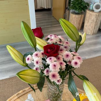 秋季脱毛的好处 ◇脱毛科普篇 很多人会以为夏日是脱毛