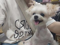 -喜狗宠物生活馆(岳州路店)