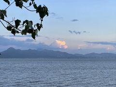 -深圳湾公园(南山区)