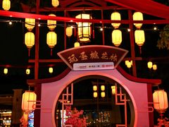 -广州长隆欢乐世界