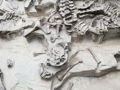 -自贡恐龙博物馆