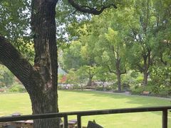 -申粤轩酒楼·三十年粤菜经典(丁香花园店)