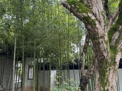 -秋霞圃