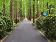 -上海怡沁园度假酒店
