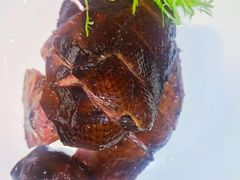 -宴秋杭州菜(锦艺城店)