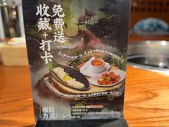 -花菇朵·云山雀 ll 野生菌锅·野果酸汤·精品滇菜(万柳店)