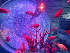 -沈阳海洋探索中心