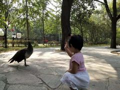 -北京麋鹿生态实验中心