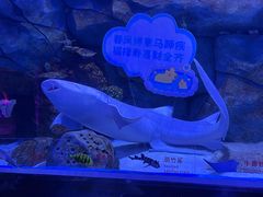 -顺德南宏海立方海洋公园