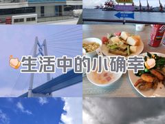 -招商蛇口邮轮母港(观光客运)