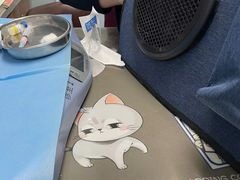 -纳吉亚猫专科动物诊疗中心(蒋宅口分院)