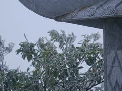 -金子山原生态旅游风景区