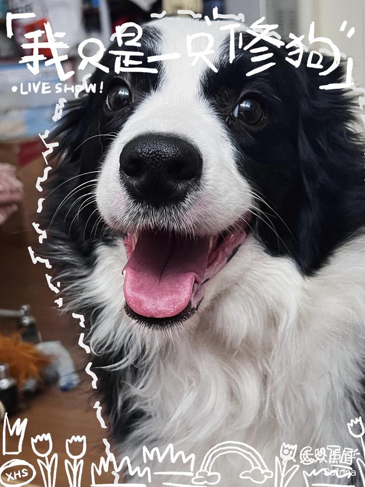 luna是甜妹-大众点评