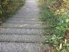 -大罗山风景区