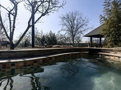 -春晖园度假酒店温泉