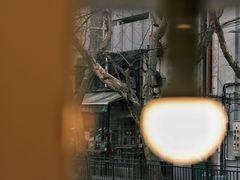 -村口大树(长乐路店)
