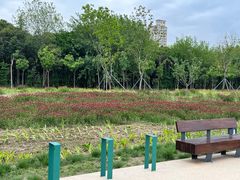 -昆山城市生态森林公园