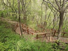 -大岭沟猕猴桃谷风景区