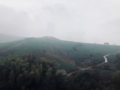 -天目湖御水温泉·度假酒店