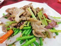 沙姜猪俐-姚林轩