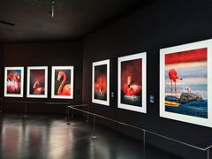 -罗红摄影艺术馆