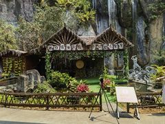 -西双版纳原始森林公园