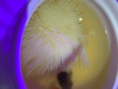 -邓丽君音乐主题餐厅