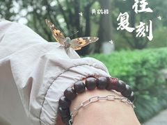 -黄鹤楼