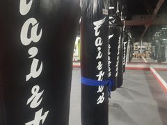 -TFC 纯泰拳馆MuayThai
