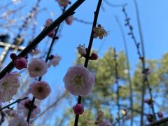 -石家庄市植物园