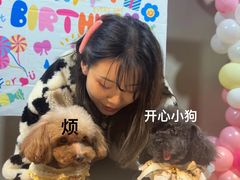 -百好乐宠物友好餐厅(朝外大街店)