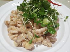 -凯鸽酒楼(操场城店)
