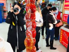 -和禄德冰糖葫芦