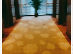 -成都凯宾斯基饭店